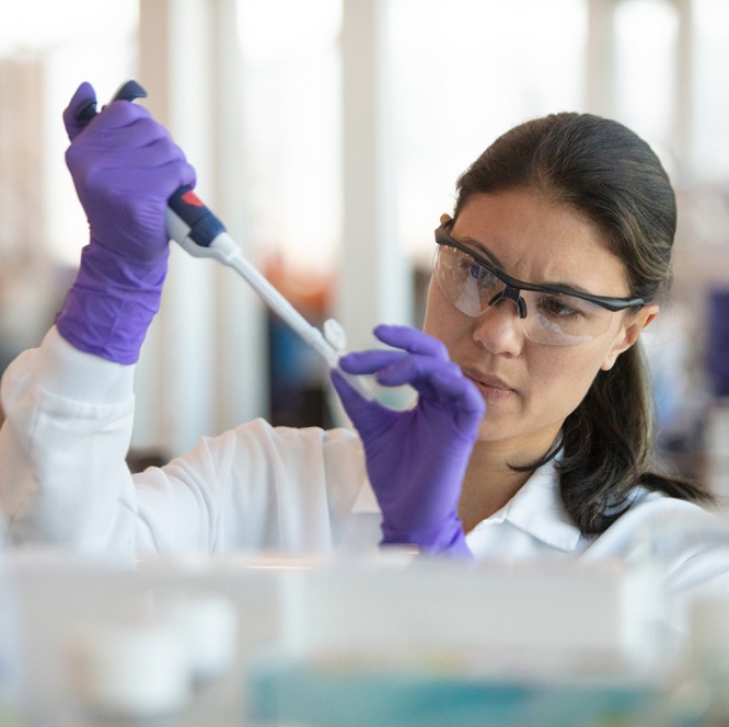 scientist working in a lab