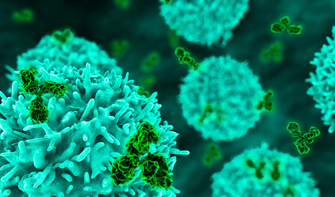 immunology