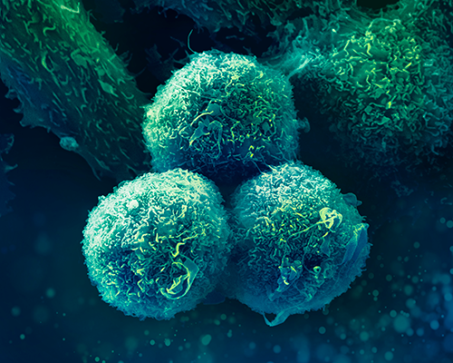 Cells