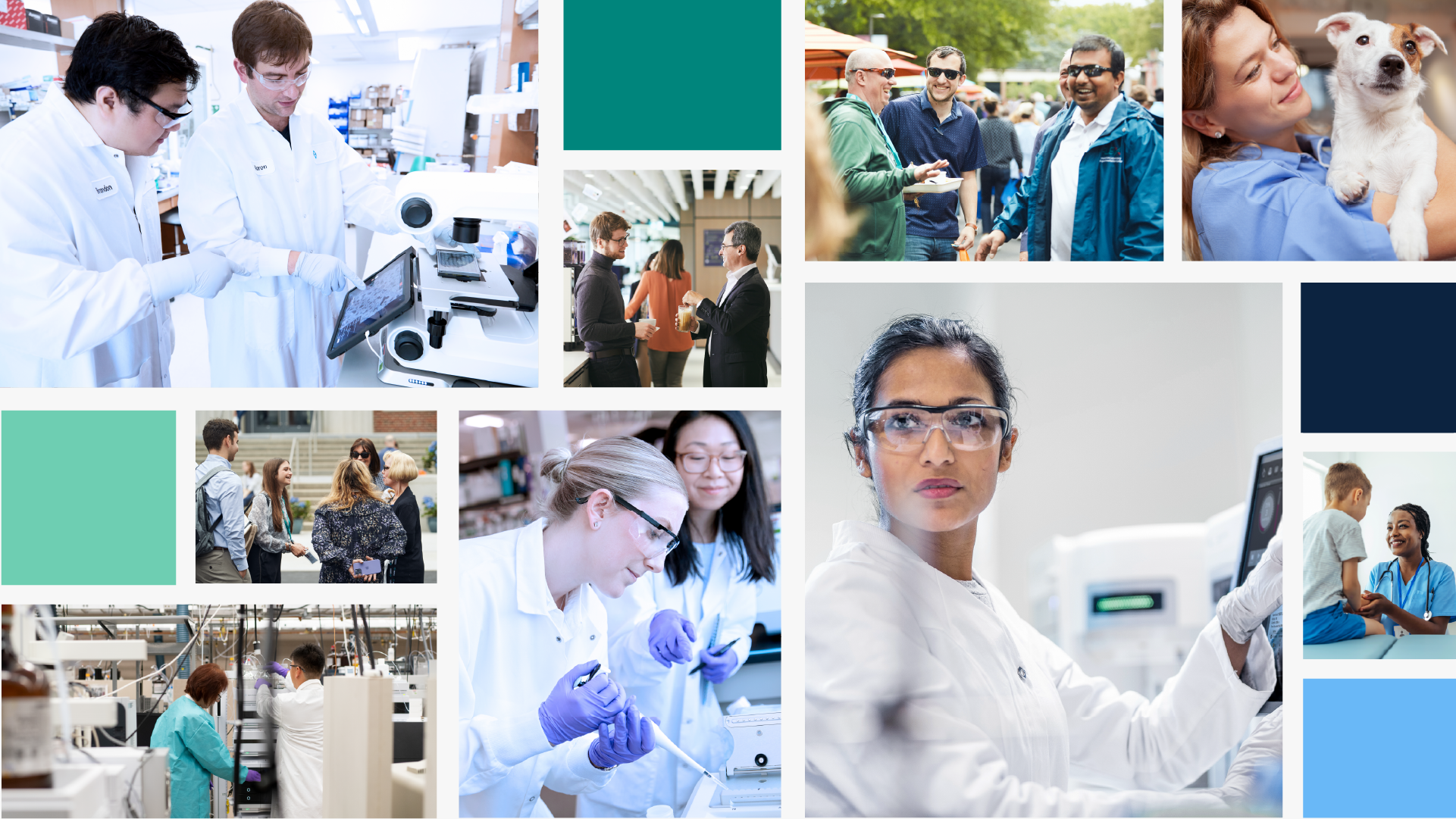 a collage of staff and scientists